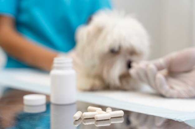 Ways to Prevent Metformin Overdose in Dogs