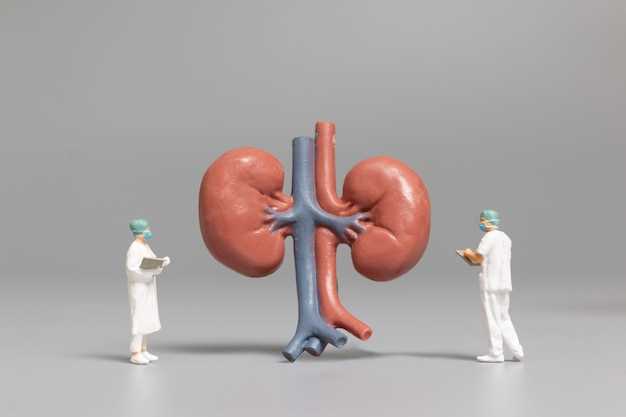 Metformin renal transplant